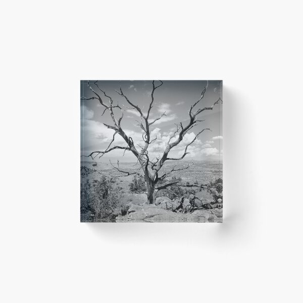Item preview,  Paria Tree Last Stand X101 designed and sold by RichFrancoCars.