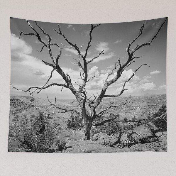 Item preview,  Paria Tree Last Stand X101 designed and sold by RichFrancoCars.