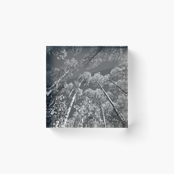 Item preview, Iconic Aspen Tree Tops X103 designed and sold by RichFrancoCars.