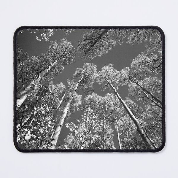 Item preview, Iconic Aspen Tree Tops X103 designed and sold by RichFrancoCars.