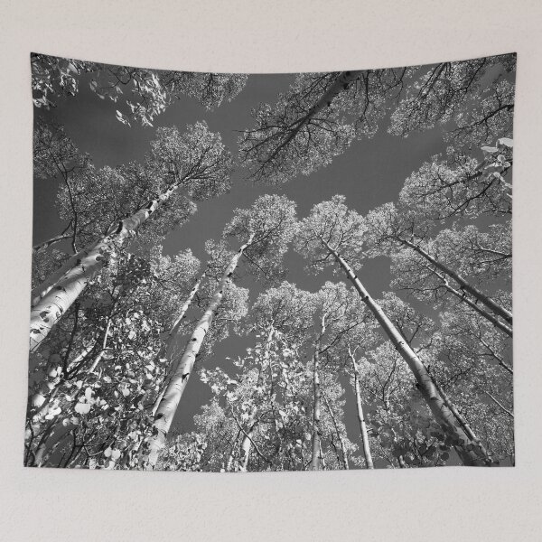 Item preview, Iconic Aspen Tree Tops X103 designed and sold by RichFrancoCars.