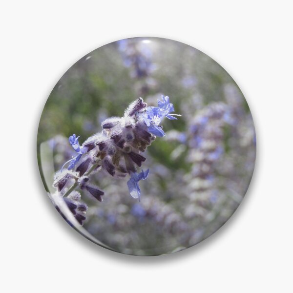 Artikelvorschau, Nepeta entworfen und verkauft von Floralynne.