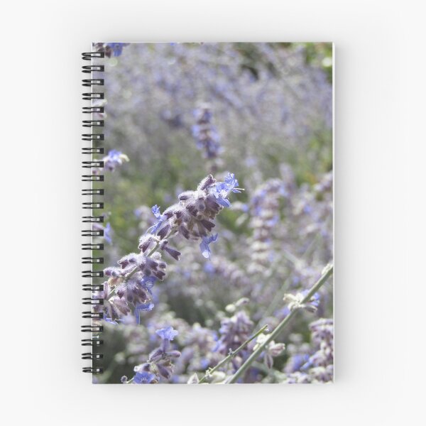 Item preview, nepeta designed and sold by Floralynne.