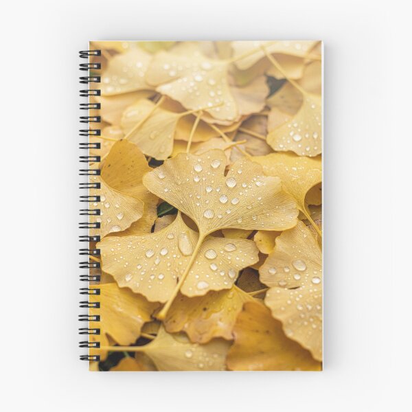Item preview, Fallen Yellow Ginkgo Leaves designed and sold by Tridentulus.