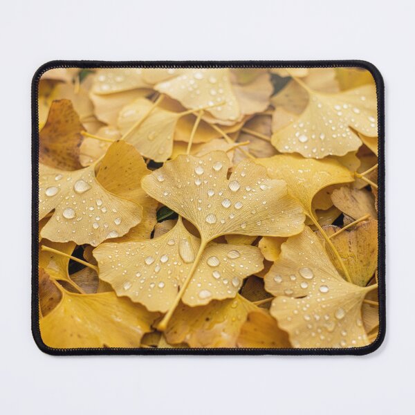 Item preview, Fallen Yellow Ginkgo Leaves designed and sold by Tridentulus.