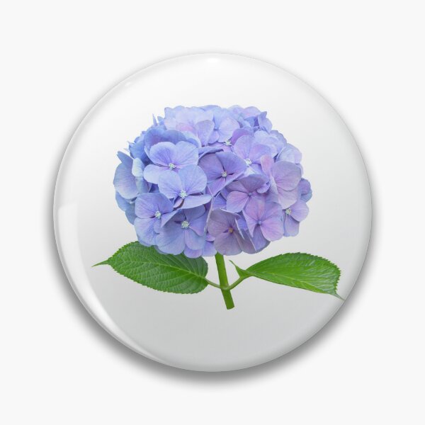 Item preview, Blue hydrangea flower botanical floral art designed and sold by Algaretum.