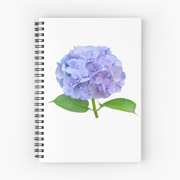 Item preview, Arte floral botánico de flor de hortensia azul designed and sold by Algaretum.