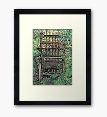 History of Hope Framed Print
