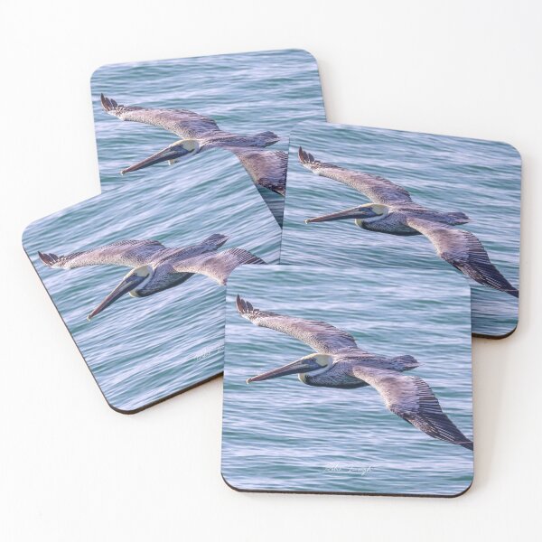 Item preview, Pelican, Myrtle Beach, January 06, 2026. designed and sold by MBGSL DESIGNS .