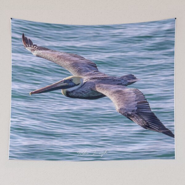 Item preview, Pelican, Myrtle Beach, January 06, 2026. designed and sold by MBGSL DESIGNS .
