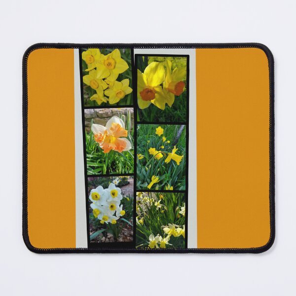 Item preview, Daffodil Fever designed and sold by Wagonesta.