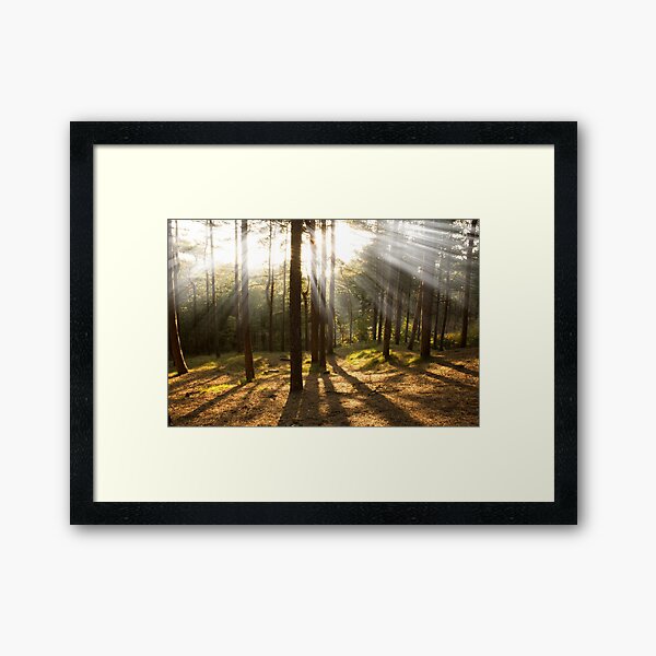 Item preview, Sunset through the trees designed and sold by Paul Madden.