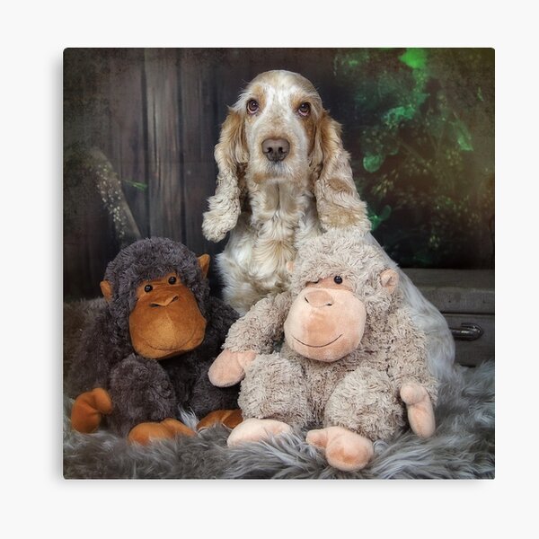 The monkeys Canvas Print