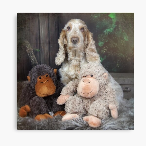 The monkeys Metal Print