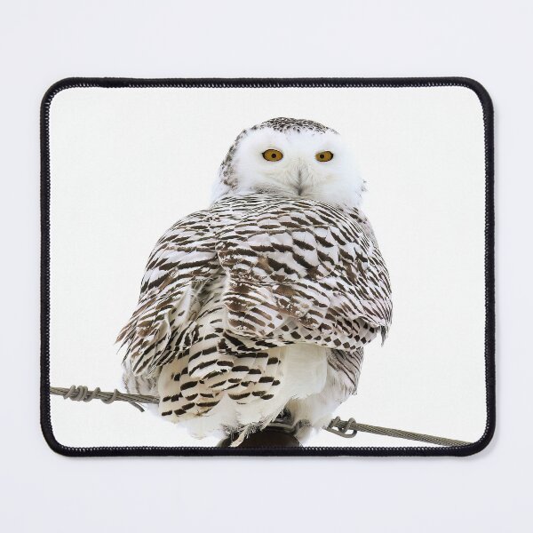 Item preview, Snowy Owl designed and sold by locustgirl.