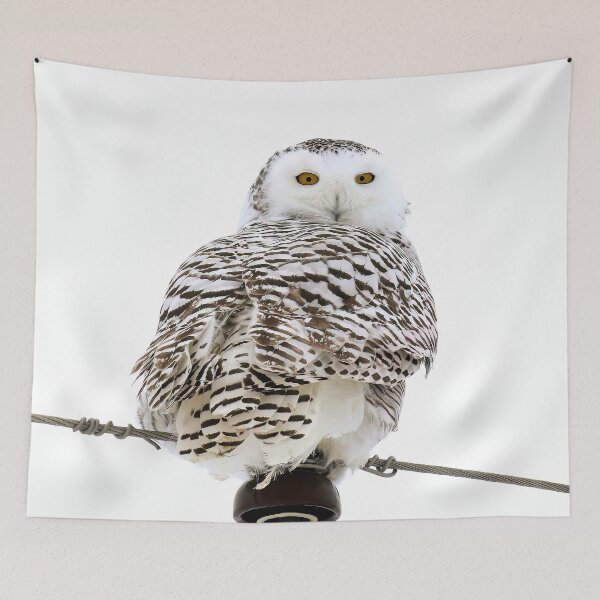 Item preview, Snowy Owl designed and sold by locustgirl.