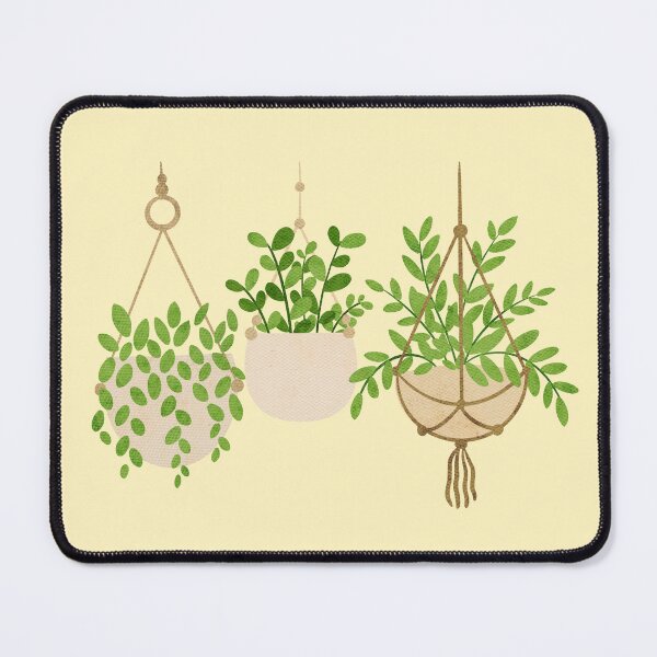 Item preview, Three Hanging Plants designed and sold by Items by AA.