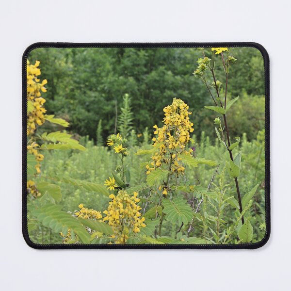 Item preview, Spring is Coming, I hope! designed and sold by nicollejanine.