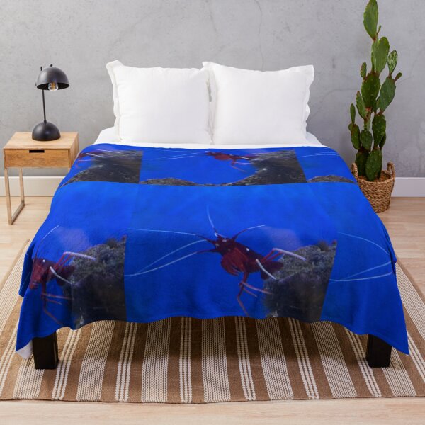 Item preview, The Noble Fire Shrimp 2026 by ElitebyElise designed and sold by ElitebyElise.