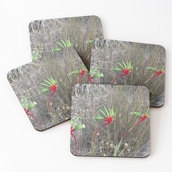 Item preview, Kangaroo paw so unique. designed and sold by Rose-Wise.