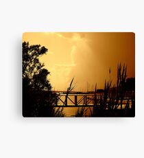 Through the Reeds Sepia Canvas Print