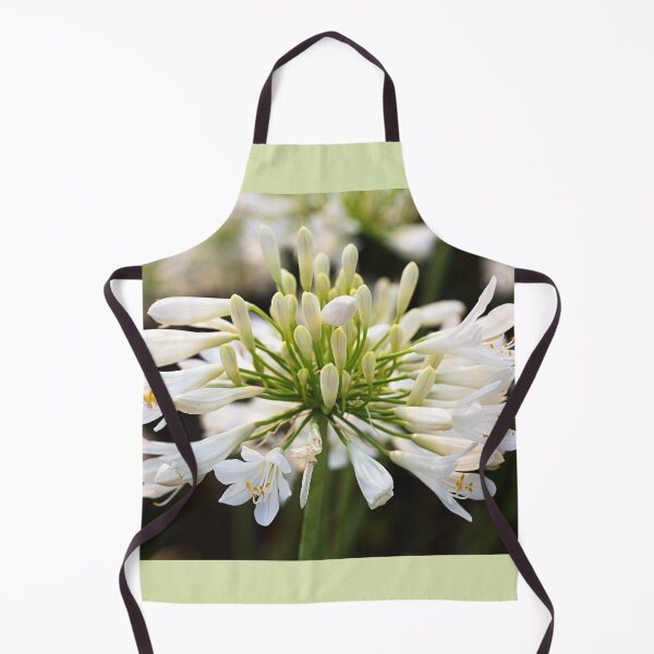 Item preview, Summer White Agapanthus designed and sold by Joy Watson - Natural Light Photography .