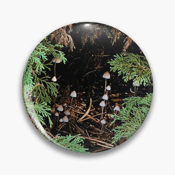 Item preview, Whimsical Mushrooms Forest Cove Photograph designed and sold by Bearmoth Arts.