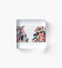 My Hero Academia Acrylic Block