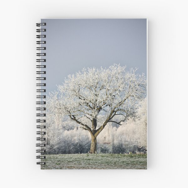 Item preview, Frosted Walnut designed and sold by ANAEZ.
