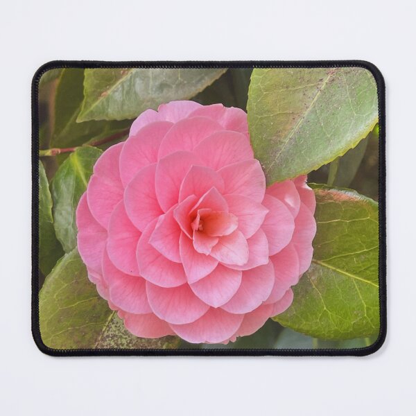 Item preview, Pretty in Pink designed and sold by JesseGeeze.