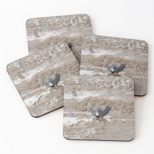 Item preview, White Wagtail Bath time designed and sold by Ralph Goldsmith.
