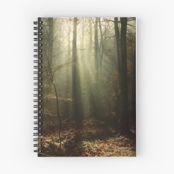 Item preview, Sunlit Forest Escape designed and sold by Wieckmananddoc.