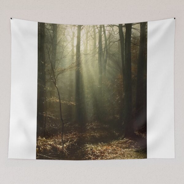 Item preview, Sunlit Forest Escape designed and sold by Wieckmananddoc.
