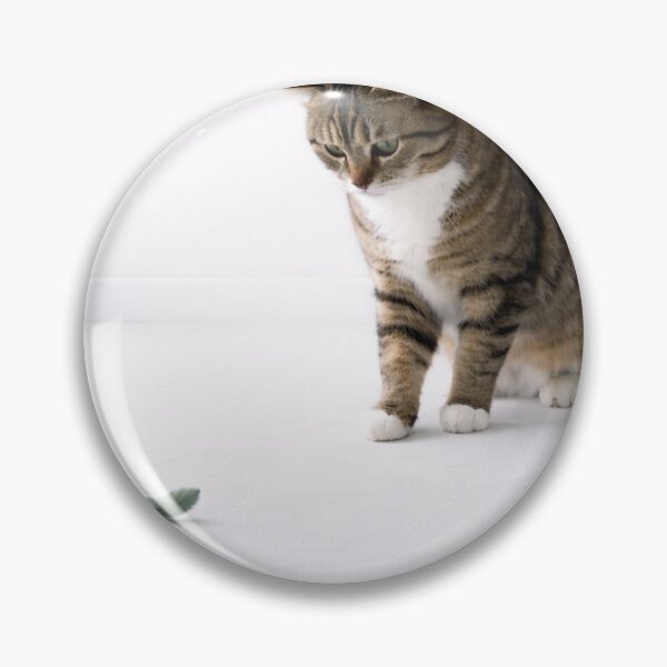 Item preview,  Curious Cat Pausing Indoors designed and sold by LovelyCatGalaxy.