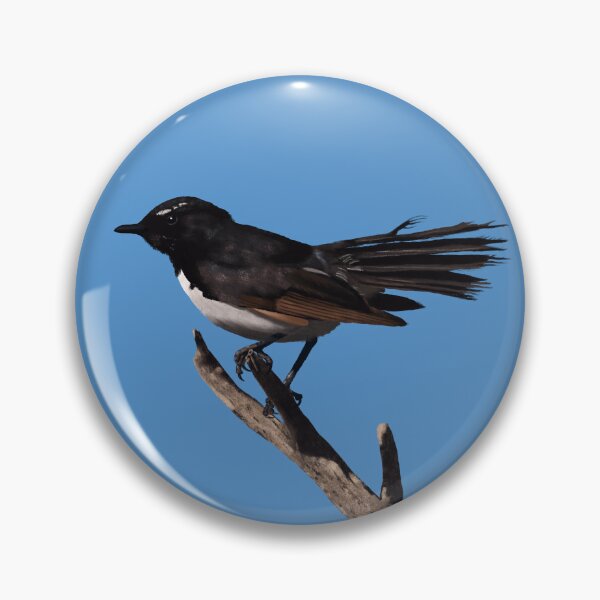 Item preview, Willie Wagtail designed and sold by Hannah Fairbairn Art (AngusAid).