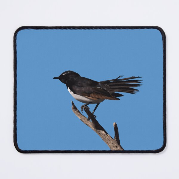 Item preview, Willie Wagtail designed and sold by Hannah Fairbairn Art (AngusAid).