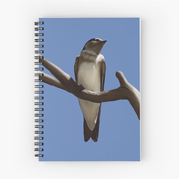 Item preview, Tree Martin designed and sold by Hannah Fairbairn Art (AngusAid).