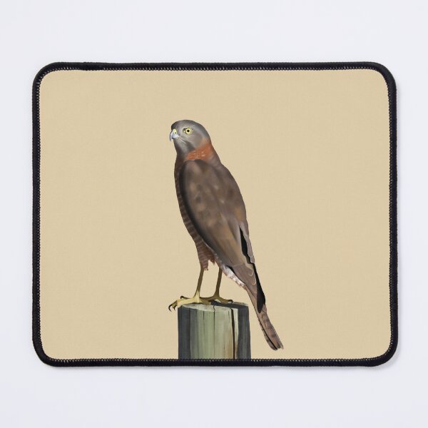 Item preview, Brown Goshawk designed and sold by Hannah Fairbairn Art (AngusAid).
