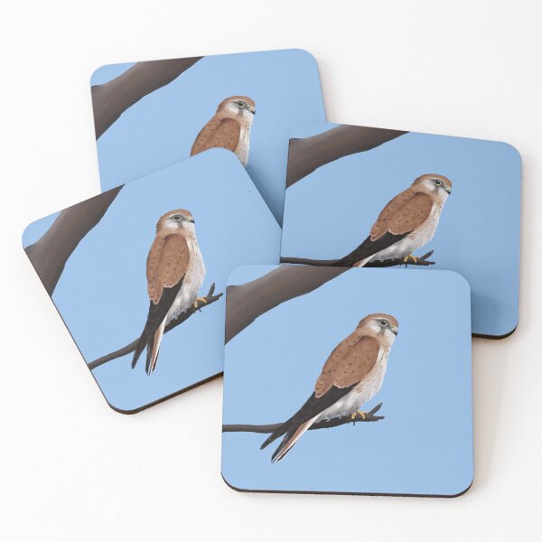 Item preview, Nankeen Kestrel designed and sold by Hannah Fairbairn Art (AngusAid).