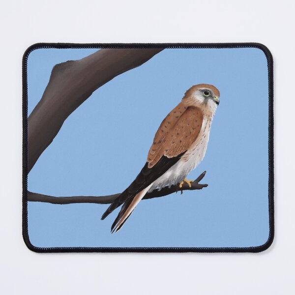 Item preview, Nankeen Kestrel designed and sold by Hannah Fairbairn Art (AngusAid).