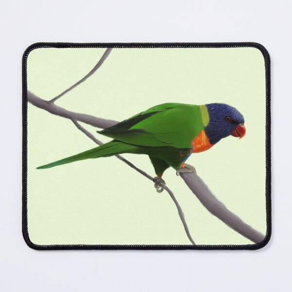 Item preview, Rainbow Lorikeet designed and sold by Hannah Fairbairn Art (AngusAid).