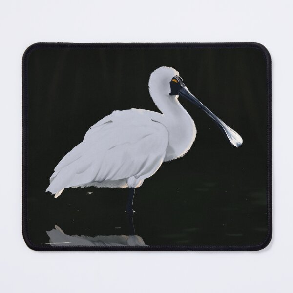 Item preview, Royal Spoonbill designed and sold by Hannah Fairbairn Art (AngusAid).