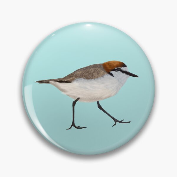 Item preview, Red-capped plover designed and sold by Windswell.