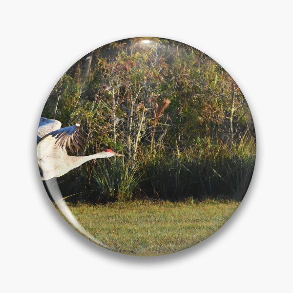 Item preview, Sandhill Crane Taking Flight designed and sold by MercerImages.