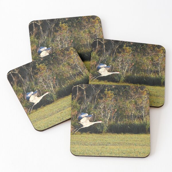 Item preview, Sandhill Crane Taking Flight designed and sold by MercerImages.
