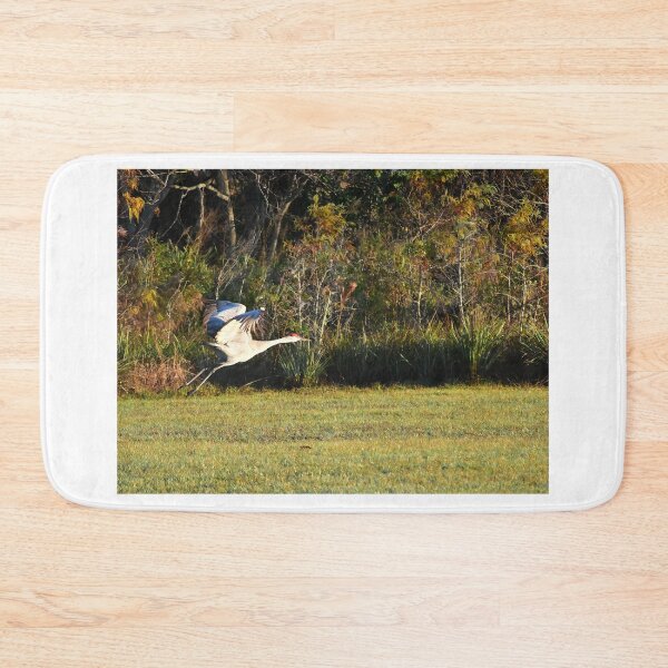 Item preview, Sandhill Crane Taking Flight designed and sold by MercerImages.