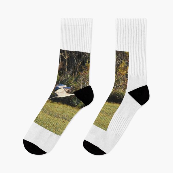 Item preview, Sandhill Crane Taking Flight designed and sold by MercerImages.