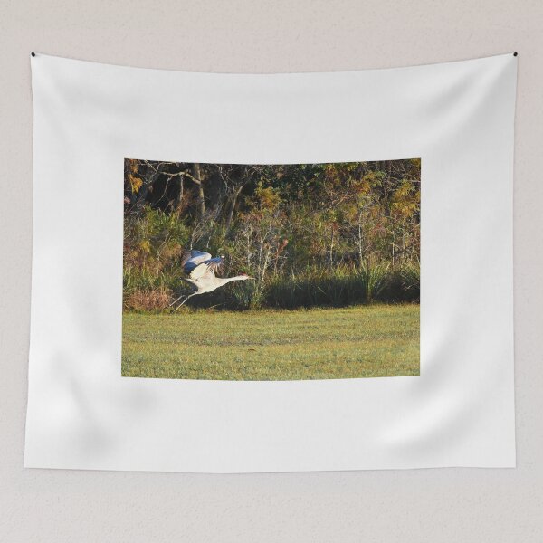 Item preview, Sandhill Crane Taking Flight designed and sold by MercerImages.