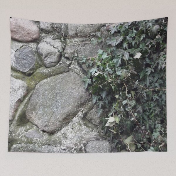 Item preview, Green ivy on a stone wall designed and sold by Betulek.