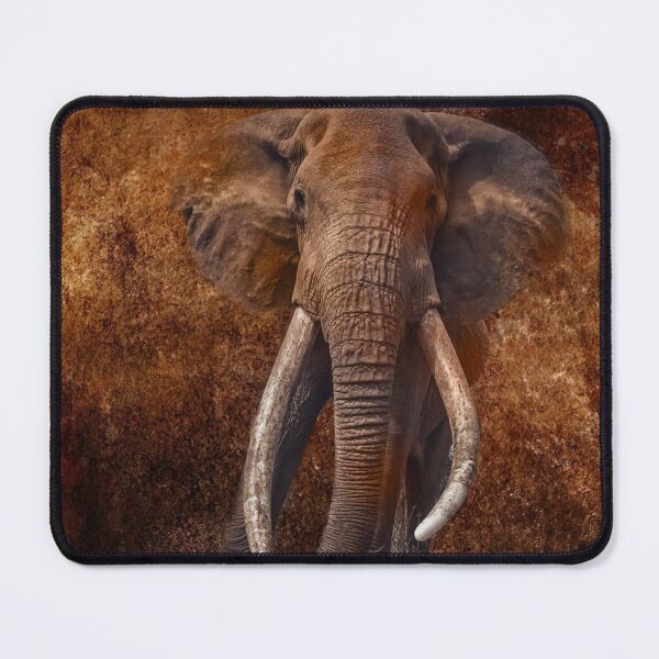 Item preview, LAST TUSKER FROM KENYA designed and sold by johnnyssandart.